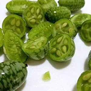 Mini Thumb Watermelon Fruit Vegetables Seeds 60+ Cucamelon Mexican Sour Gherkin Melothria scobra for Home Garden Outdoor Yard Farm Planting