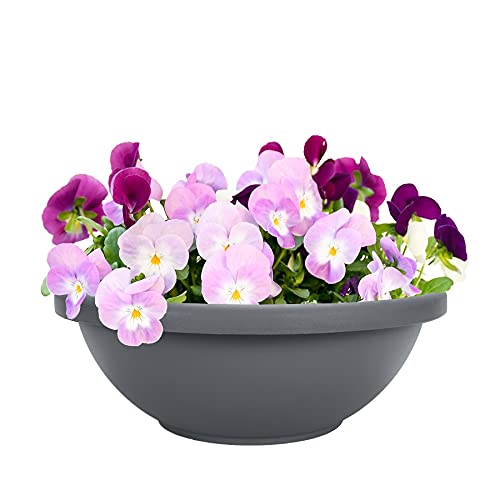 The HC Companies 22 Inch Large Garden Bowl Planter - Shallow Plant Pot with Drainage Plug for Indoor Outdoor Flowers, Herbs, Warm Gray