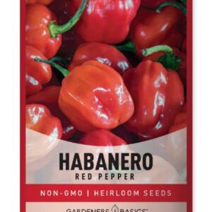 Red Habanero Pepper Seeds for Planting 100+ Heirloom Non-GMO Habanero Peppers Plant Seeds for Home Garden Vegetables Makes a Great Gift for Gardeners by Gardeners Basics