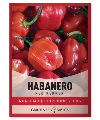 Red Habanero Pepper Seeds for Planting 100+ Heirloom Non-GMO Habanero Peppers Plant Seeds for Home Garden Vegetables Makes a Great Gift for Gardeners by Gardeners Basics