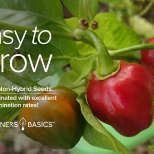 Red Habanero Pepper Seeds for Planting 100+ Heirloom Non-GMO Habanero Peppers Plant Seeds for Home Garden Vegetables Makes a Great Gift for Gardeners by Gardeners Basics