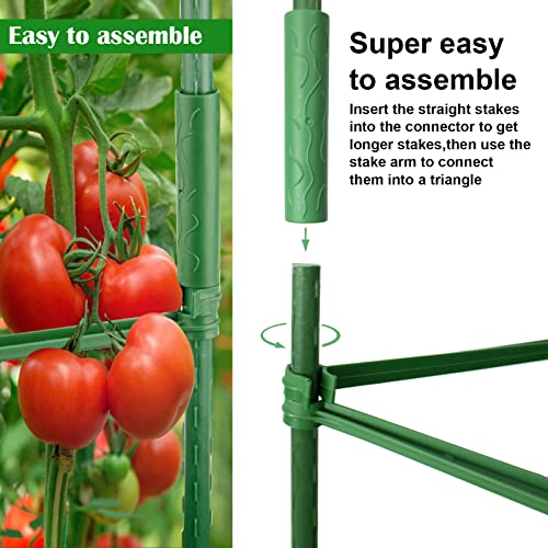 6Ft 3Packs Tomato Cage for Garden Plant Support, Extra High 72Inch Plant Cage Garden Trellis for Climbing Plants Adjust Plant Trellis Tomato Trellis Garden Stakes for Vegetable Fruit Flowers