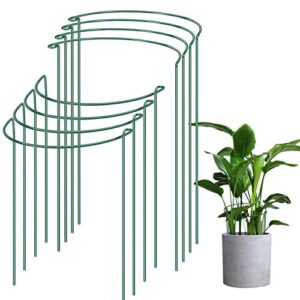 ipsxp plant support stake, 8-pack half round metal garden plant supports, green garden plant support ring, garden border supports, plant support ring cage for tomato, roses, hydrangea, flowers vine