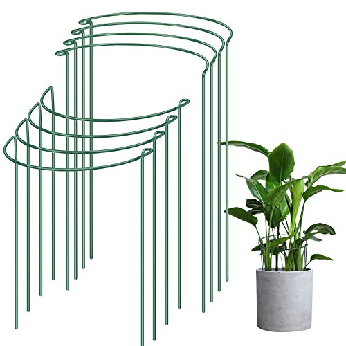 IPSXP Plant Support Stake, 8-Pack Half Round Metal Garden Plant Supports, Green Garden Plant Support Ring, Garden Border Supports, Plant Support Ring Cage for Tomato, Roses, Hydrangea, Flowers Vine