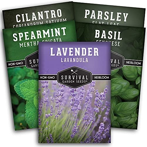 Survival Garden Seeds Popular Herb Collection Seed Vault - Lavender, Spearmint, Basil, Cilantro, Parsley - Non-GMO Heirloom Survival Garden Seeds for Planting - Grow Herbs in Your Vegetable Garden