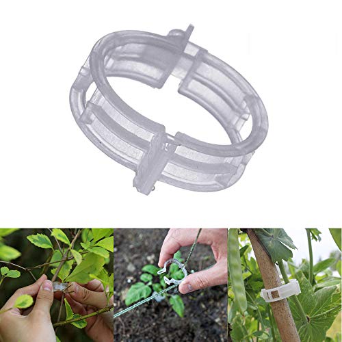 MGTECH 300 Pcs Tomato Trellis Clips, Garden Vegetable Vine Clips, Plant Support Quick Clips for Vine Vegetables to Grow Upright and Healthier