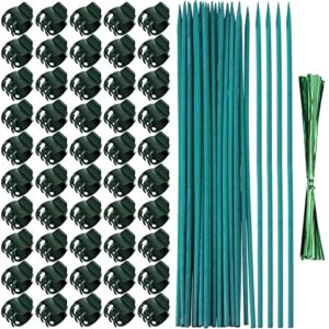 jetec 50 pieces orchid clips plastic garden plant clips with 30 pieces green bamboo plant stakes, 30 pieces metallic twist ties for supporting stems vines stalks grow upright (38 cm)