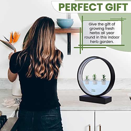 Grow Vival (2-in-1) Soil/Water Hydroponic Growing System - Indoor Garden Planter, (5) Baskets - Round Design with Grow Lights - Ideal for The Home or Office - DIY Create Your Own - Black