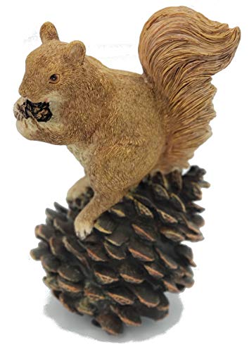 C&F Garden Decor Outdoor Polyresin Squirrel On Pinecone Statue G119 6"H