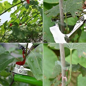 FUNTECK Plant Tying Machine for Grapes, Raspberries, Tomatoes and Vining Vegetables, Comes with Tapes, Staples and Two Replacement Blades,Green