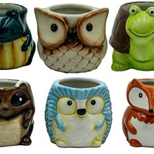 Matty's Garden Animal Ceramic Succulent Planters Set of 6 | 2.5 Inch Small Cactus Pots with Drainage Hole Raccoon Owl Turtle Hedgehog Frog Fox