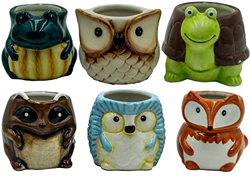 Matty's Garden Animal Ceramic Succulent Planters Set of 6 | 2.5 Inch Small Cactus Pots with Drainage Hole Raccoon Owl Turtle Hedgehog Frog Fox