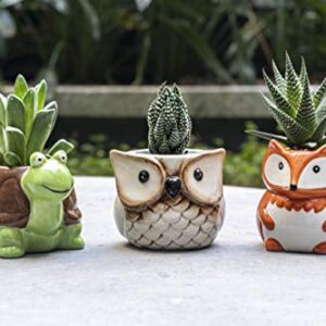 Matty's Garden Animal Ceramic Succulent Planters Set of 6 | 2.5 Inch Small Cactus Pots with Drainage Hole Raccoon Owl Turtle Hedgehog Frog Fox