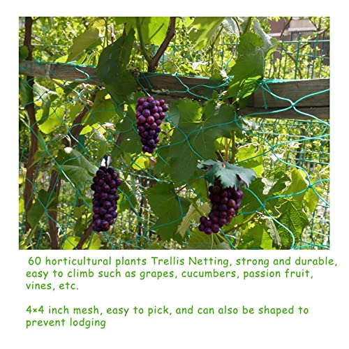 Trellis Netting Kit for Climbing Plants, Heavy Duty Durable Garden Trellis Netting for Vines Cucumbers Grape, 65' Twist Ties &18 Pcs Plant Clips &12 Pcs Adjustable Plant Ties (6.5x16.5Ft, 4" Mesh)