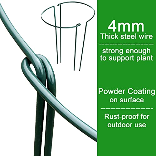 HiGift 8 Pack Plant Support Stakes, Half Round Metal Garden Plant Stake Peony Plant Support Cage, Green Plant Support Ring Border for Tomato,Hydrangea,Flower Indoor Outdoor (10" Wide x 15.8" High)
