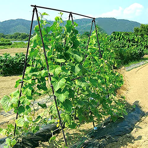 DoCred Cucumber Trellis, A Frame Trellis Metal Garden Trellis for Climbing Plant Cucumber, Flowers, Melon, Vegetables