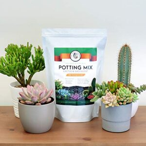 Organic Potting Soil, Cactus and Succulent Soil Mix, Professional Grower Mix Soil, Fast Draining Pre-Mixed Coarse Blend (8 Quarts)