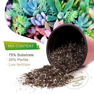 Organic Potting Soil, Cactus and Succulent Soil Mix, Professional Grower Mix Soil, Fast Draining Pre-Mixed Coarse Blend (8 Quarts)