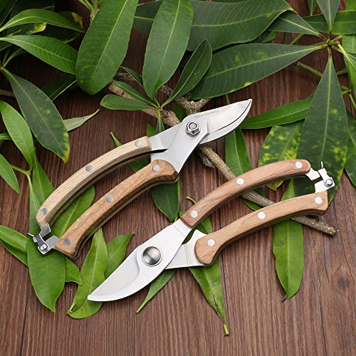 LIFVCNT Wood Handle Garden Shear Kit, Plant Pruning Scissors Garden Cutter Flower Shears Hand, Tree Trimmers Secateurs Clipping Shears for Gardening, Ergonomic Gardening Tools Gardener's Gift