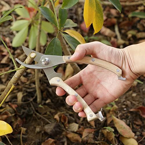 LIFVCNT Wood Handle Garden Shear Kit, Plant Pruning Scissors Garden Cutter Flower Shears Hand, Tree Trimmers Secateurs Clipping Shears for Gardening, Ergonomic Gardening Tools Gardener's Gift