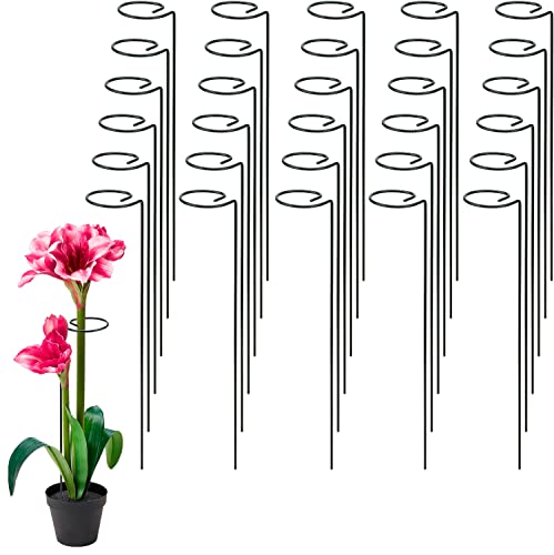 HOZEON 30 Pack 15.7 Inch Plant Support Stakes, Garden Single Stem Flower Plant Support, Plant Cage Support Ring Plant Sticks for Single Stem Flowers, Amaryllis, Tomatoes, Orchid, Lily, Green