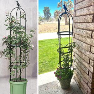 Garden Trellis for Climbing Plants, Rustproof Metal Pipe with Heavy Duty 6ft, Garden Outdoor Indoor Potted Plant Support（Black）…