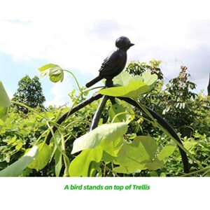 Garden Trellis for Climbing Plants, Rustproof Metal Pipe with Heavy Duty 6ft, Garden Outdoor Indoor Potted Plant Support（Black）…
