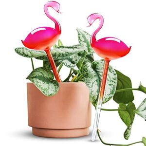 self-watering glass globes 2pcs flamingo gradient hot pink 10″ long hand blown bulbs pot plant waterer home indoor outdoor garden patio hanging flower aqua spike decorative automatic irrigation system