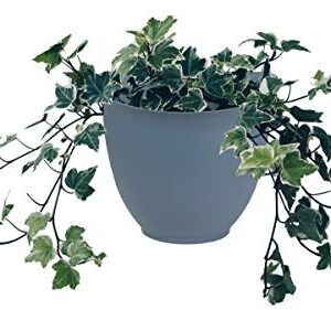 The HC Companies 8 Inch Garden Wall Planter - Plastic Hanging Plant Pot for Indoor Outdoor Flowers, Herbs, Slate Blue