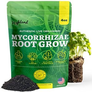 mycorrhizal fungi root grow mycorrhizae for plants myco ultra soil real growers plant success root enhancer for plants microbes for soil mycorrhizal inoculant root powder for plants mycorrhizae soil