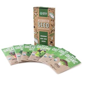 7 Varieties of Leafy Power Green Organic Seeds, Non-GMO Seeds for Planting, Heirloom Seeds - Spinach Seeds, Arugula, Kale, Lolla Rossa Lettuce Seeds, Buttercrunch, Gourmet Mix Lettuce, Swiss Chard