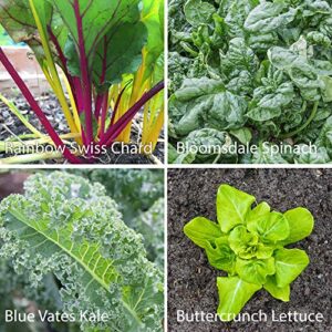 7 Varieties of Leafy Power Green Organic Seeds, Non-GMO Seeds for Planting, Heirloom Seeds - Spinach Seeds, Arugula, Kale, Lolla Rossa Lettuce Seeds, Buttercrunch, Gourmet Mix Lettuce, Swiss Chard