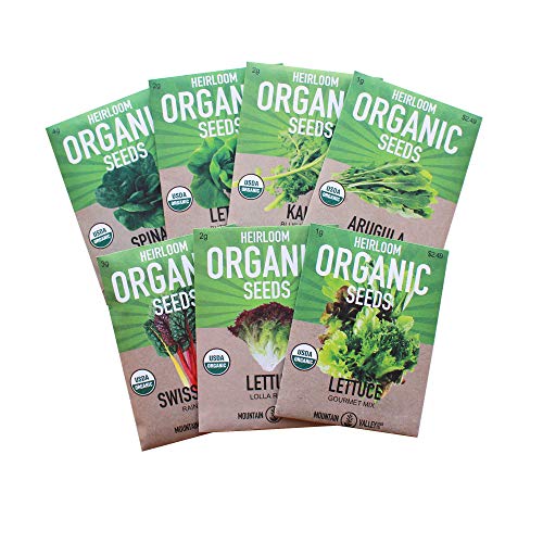 7 Varieties of Leafy Power Green Organic Seeds, Non-GMO Seeds for Planting, Heirloom Seeds - Spinach Seeds, Arugula, Kale, Lolla Rossa Lettuce Seeds, Buttercrunch, Gourmet Mix Lettuce, Swiss Chard