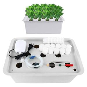 homend indoor hydroponic grow kit with bubble stone, 11 sites (holes) bucket, air pump, sponges – best indoor herb garden – grow fast at home