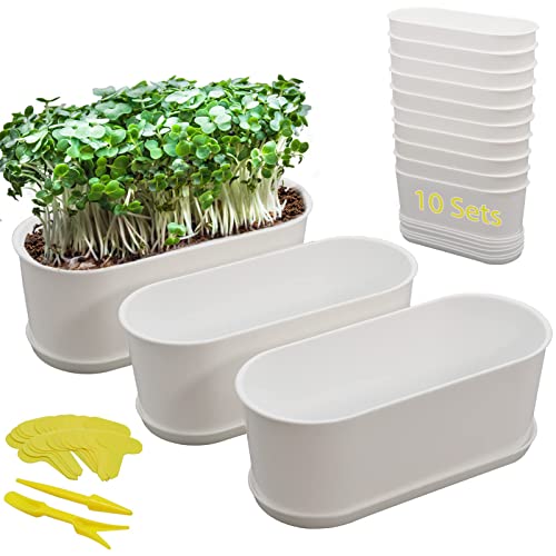 Plant Window Box with Saucers 10 Sets Plastic Planters with Multiple Drainage Holes and Trays Flower Pots for Home Garden Succulents Modern Decorative Window Planter Box Gardening Pot Plant Container