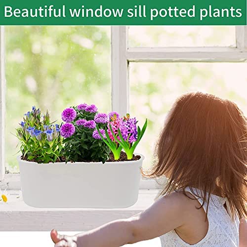 Plant Window Box with Saucers 10 Sets Plastic Planters with Multiple Drainage Holes and Trays Flower Pots for Home Garden Succulents Modern Decorative Window Planter Box Gardening Pot Plant Container