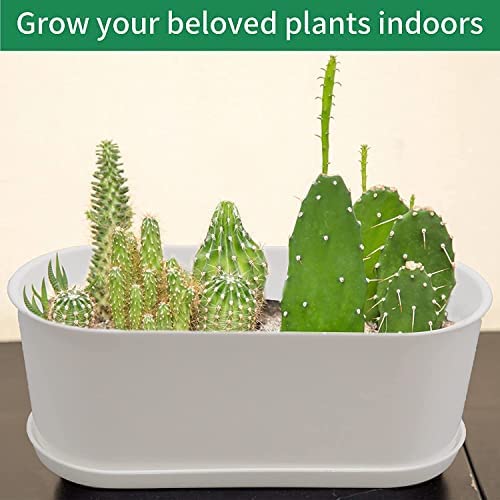 Plant Window Box with Saucers 10 Sets Plastic Planters with Multiple Drainage Holes and Trays Flower Pots for Home Garden Succulents Modern Decorative Window Planter Box Gardening Pot Plant Container