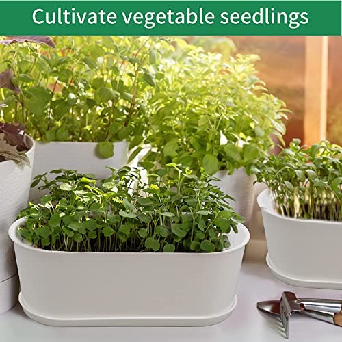 Plant Window Box with Saucers 10 Sets Plastic Planters with Multiple Drainage Holes and Trays Flower Pots for Home Garden Succulents Modern Decorative Window Planter Box Gardening Pot Plant Container