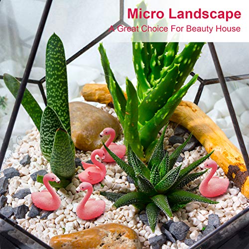 16 Pieces Mini Flamingo Miniature Figurines Fairy Garden Miniature Moss Landscape DIY Ornament Accessories (2 Styles), Cake Decoration, Micro Landscape Decoration, Car Decoration, Home Decoration