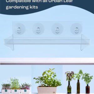 Window Shelf For Plants | EXTRA STURDY Loading-Bearing Brace with Powerful Suction Cup Shelf | Window Sill Extender For Plants | Herbs, Succulent, Indoor Plants, Acrylic Window Sill Extender