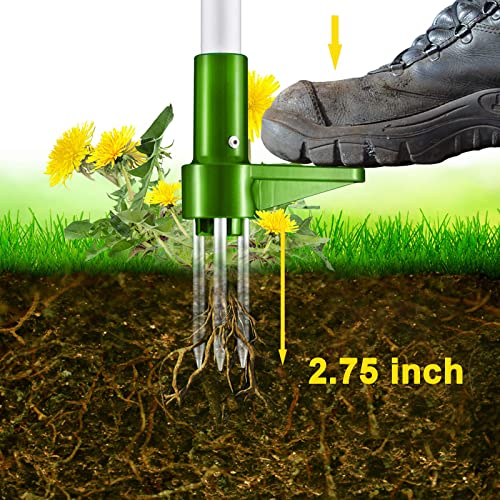 Weed Puller Tool - Stand Up Heavy Duty Weeder Hand Tool - Standing Weed Root Removal Tool Plucker Dandelion Puller - 39" Long Handle Garden Weeding Tool with 3 Claws for Garden Backitchen
