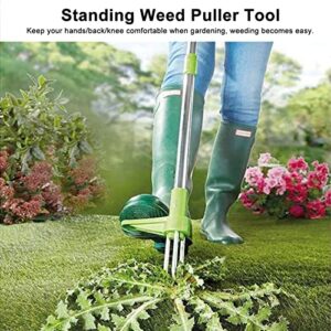 Weed Puller Tool - Stand Up Heavy Duty Weeder Hand Tool - Standing Weed Root Removal Tool Plucker Dandelion Puller - 39" Long Handle Garden Weeding Tool with 3 Claws for Garden Backitchen