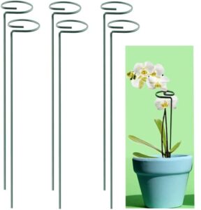 greenpeas plant stake support – 3-inch diameter steel support stands with green plastic coating – gardening brace sticks for single stem flowers, amaryllis, tomatoes, peony, lily – 16″ tall, 5 pieces