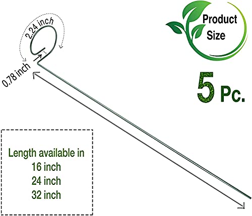 Greenpeas Plant Stake Support - 3-Inch Diameter Steel Support Stands with Green Plastic Coating - Gardening Brace Sticks for Single Stem Flowers, Amaryllis, Tomatoes, Peony, Lily - 16" Tall, 5 Pieces