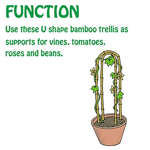 3 Feet Natural U-Hoops Bamboo, Mininfa Garden Trellis, Bamboo Trellis U-Shape for Plant Support - 3 Pack