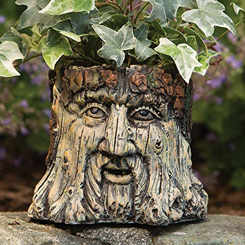 Bits and Pieces - Tree Face Garden Planter - Durable Polynesian Indoor-Outdoor Urn for Plants - Forest Inspired Whimsical Garden Décor