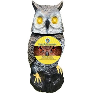 owlery solar owl with flashing eyes, rotating head and realistic tweets, plastic owl decoration for home, garden, patio and fence, 15 in x 5.5 in x 5.5 in