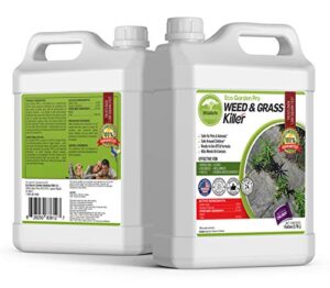 eco garden pro – organic vinegar weed killer | kid safe pet safe | clover killer for lawns | moss killer | green grass & poison ivy killer | spray ready glyphosate free herbicide (1 gallon)