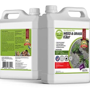 ECO Garden PRO - Organic Vinegar Weed Killer | Kid Safe Pet Safe | Clover Killer for Lawns | Moss Killer | Green Grass & Poison Ivy Killer | Spray Ready Glyphosate Free Herbicide (1 Gallon)