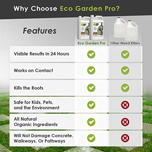 ECO Garden PRO - Organic Vinegar Weed Killer | Kid Safe Pet Safe | Clover Killer for Lawns | Moss Killer | Green Grass & Poison Ivy Killer | Spray Ready Glyphosate Free Herbicide (1 Gallon)